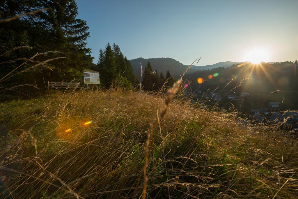 Guesthouse Macesen Spodnja Sorica Exteriör bild